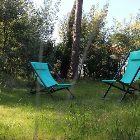 Dom wakacyjny Maison La Tremblade-ronce-les-bains, 3 Pieces, 6 Personnes - Fr-1-305b-9